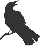 Crow