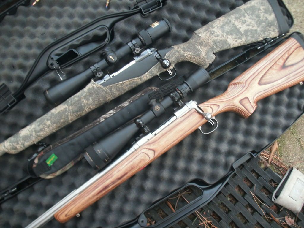 GEDC1145.jpg