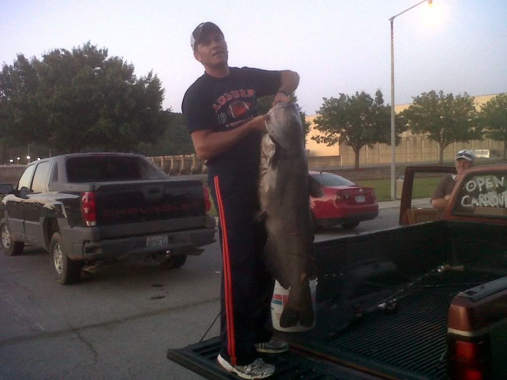 Guntersville Dam Catfish