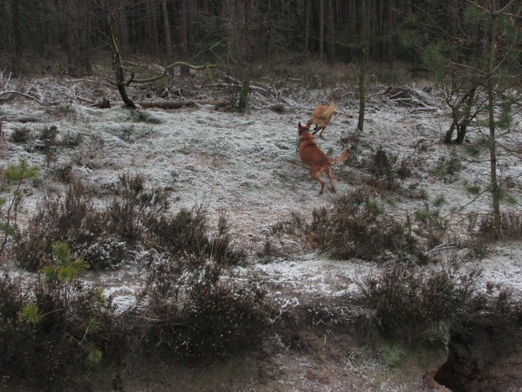 IMG_3720.jpg
