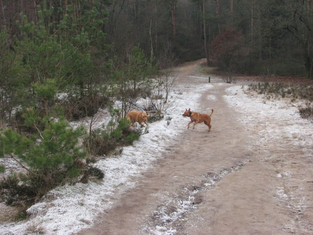 IMG_3736.jpg