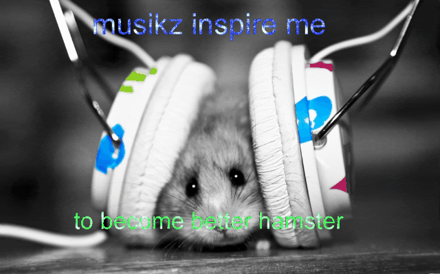 1305819705-headphones-music-lol-headphones-girl-hamster-wallpaper.gif