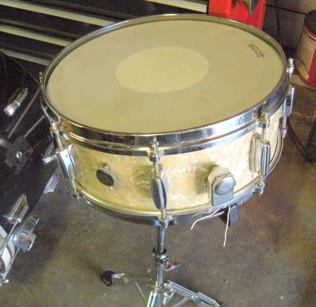 Dating rogers drums