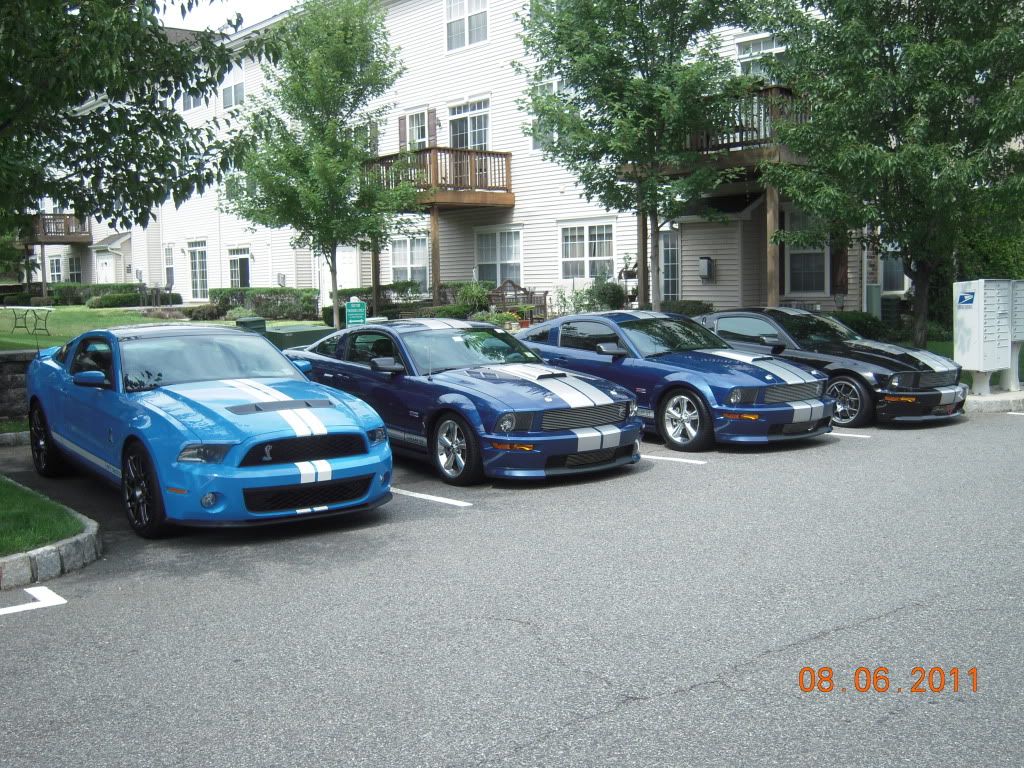ShelbyParty062.jpg