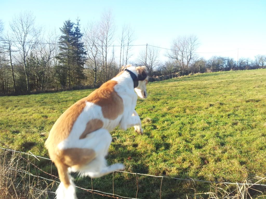 20121209_113925.jpg