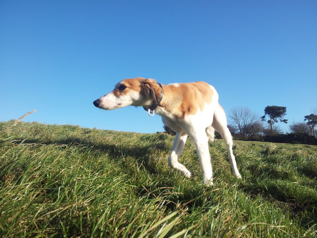 20121209_114729.jpg