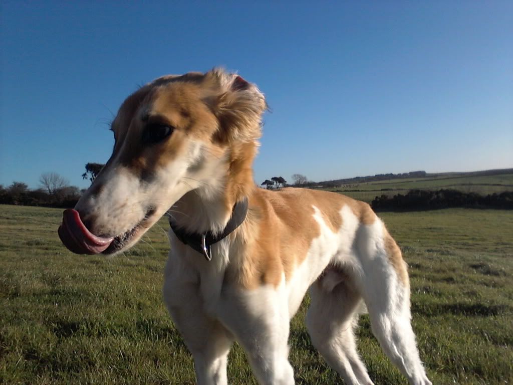 20121209_114849.jpg