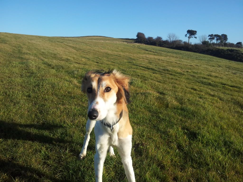 20121209_114904.jpg