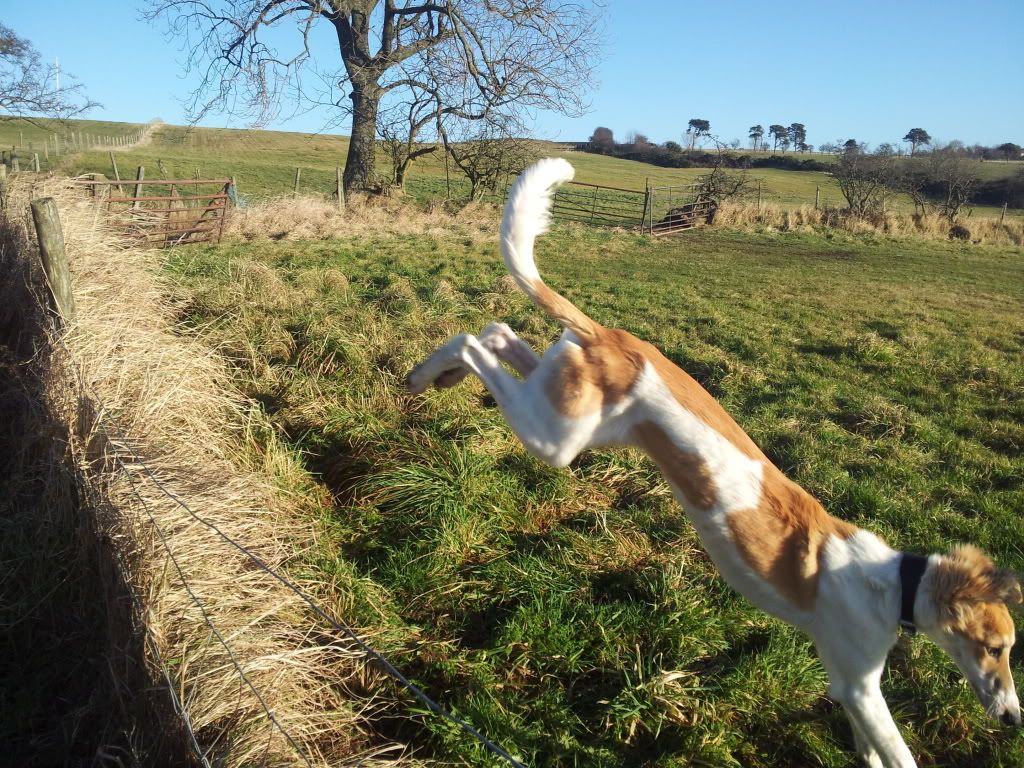 20121209_115226.jpg