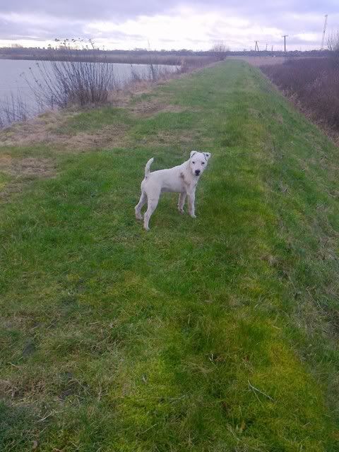 004.jpg?t=1326383132