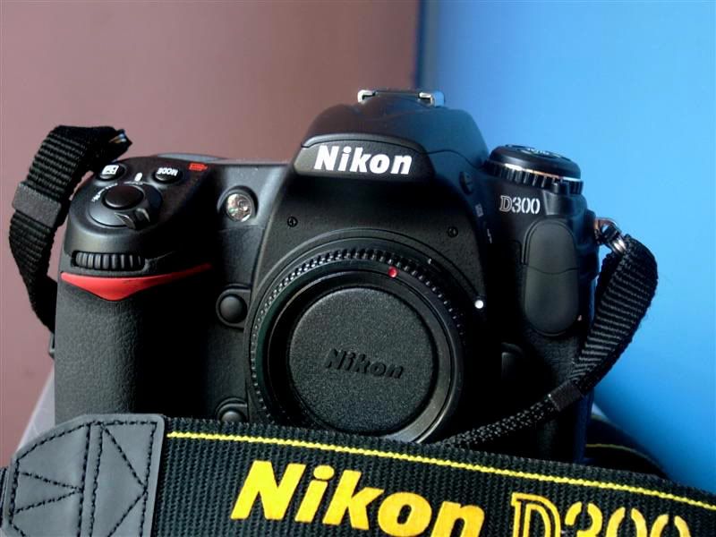 Bán Body Nikon D300 11k shots - 1