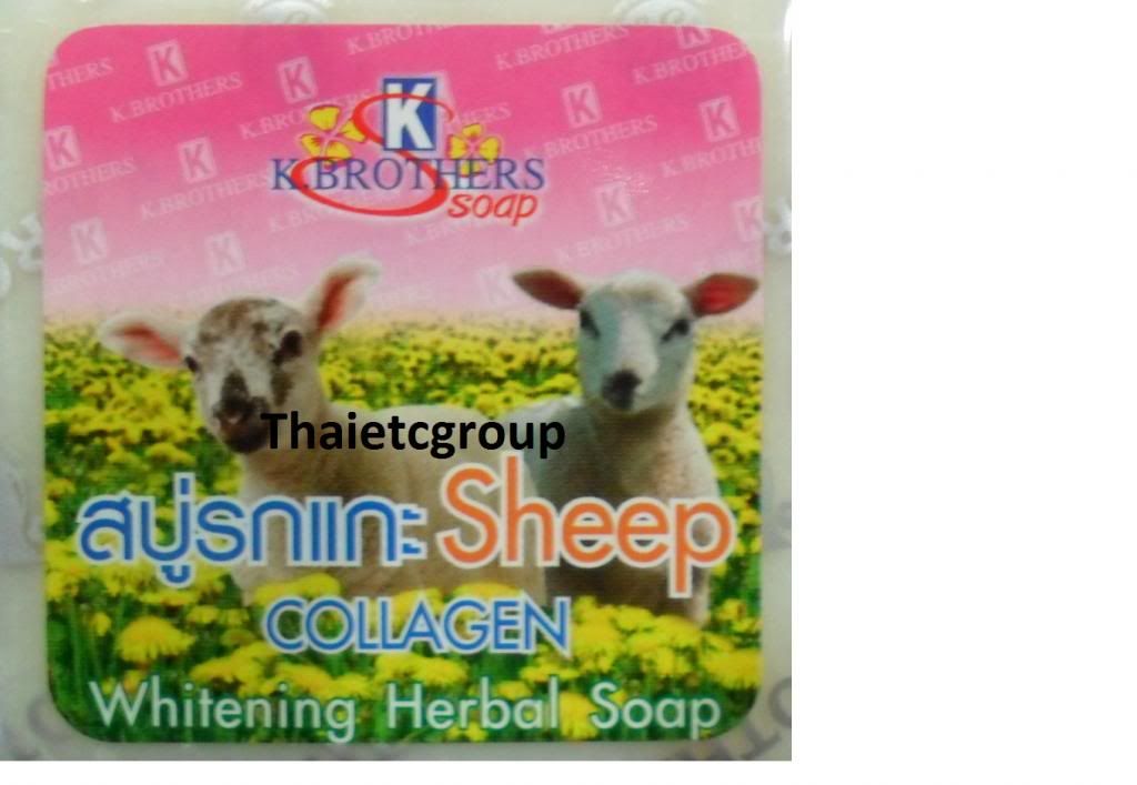  photo kbrothersheepcollagen_zpse1e03417.jpg