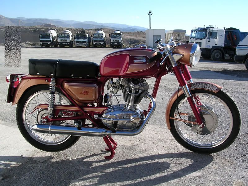 DSCN0229.jpg