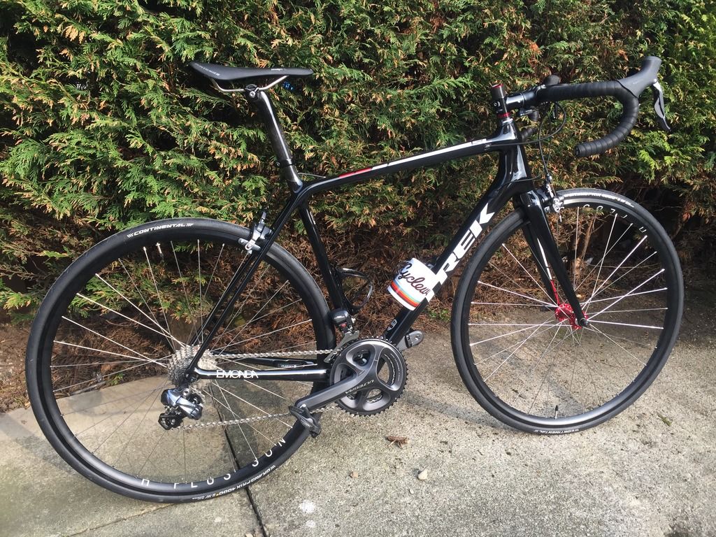 trek sl8