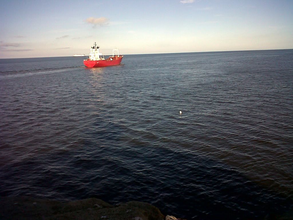 IMG00373-20120228-1515.jpg