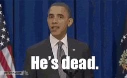 http://i1193.photobucket.com/albums/aa359/cccp431/obama.gif