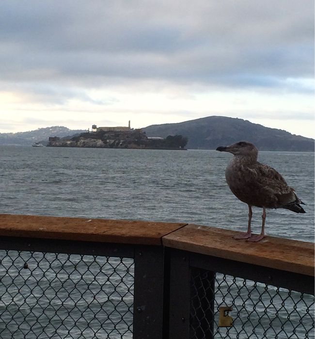 Alcatraz