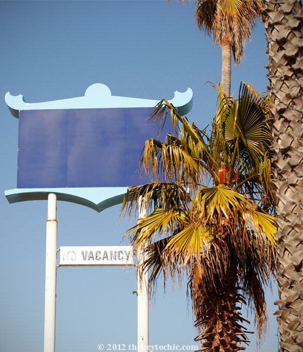 southern California plam trees, motel