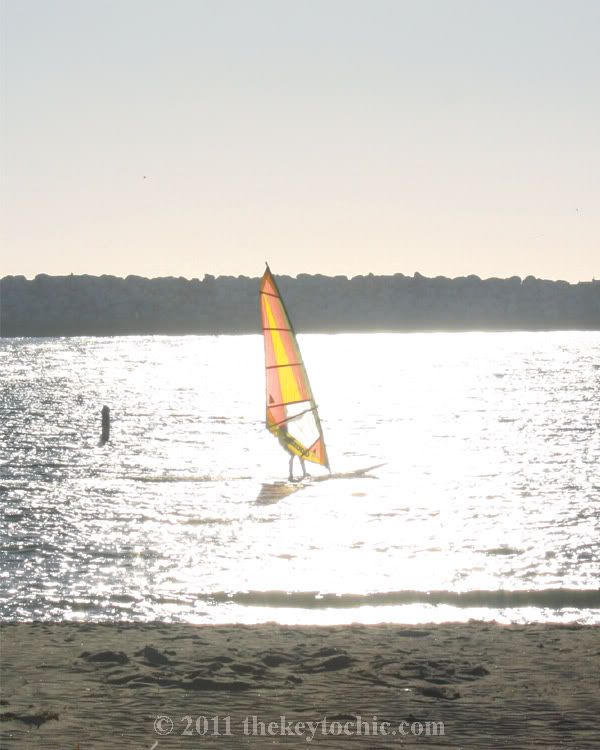 windsurfer