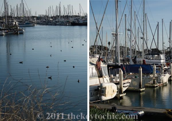 harbor boats
