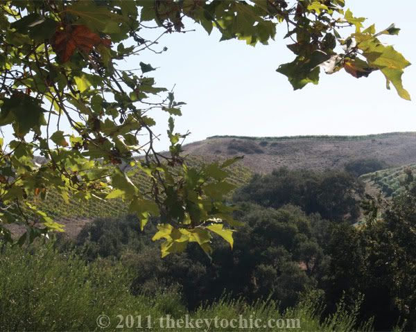 Demetria Winery Los Olivos