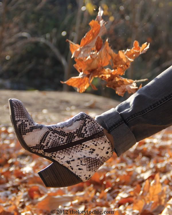 snakeskin ankle boots, python print booties, Los Angeles fashion blogger, southern California fashion blog
