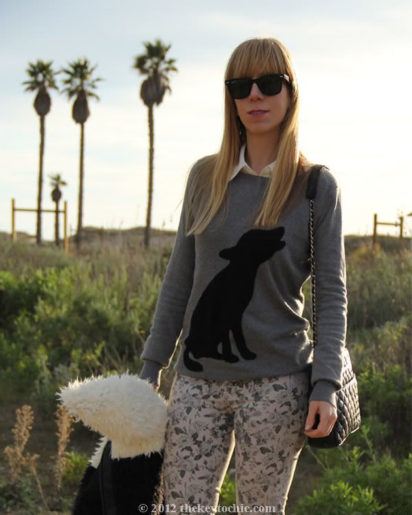 dog print sweater, J Brand floral jeans, Lumiere two-tone colorblock jacket, Steve Madden Grettta, Los Angeles fashion blog, southern California fashion blogger