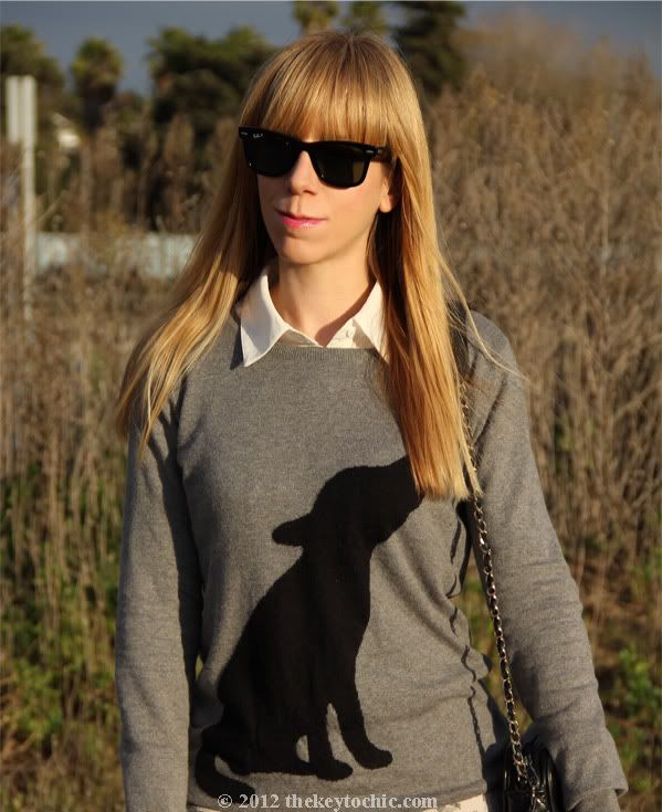 dog print sweater, Los Angeles fashion blogger, southern California fashion blog