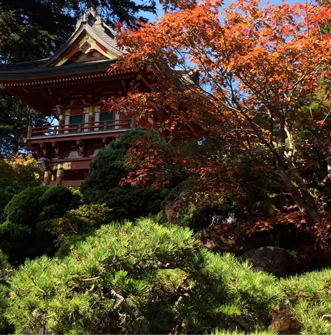 Japanese Tea Garden at Golden Gate Park