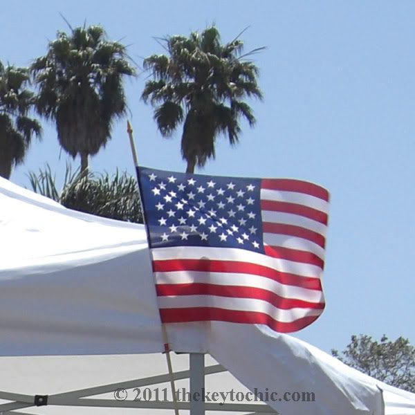 Amrican flag