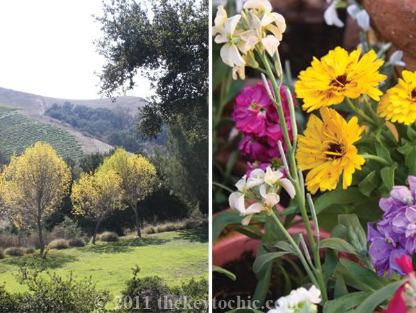 Demetria Winery Los Olivos