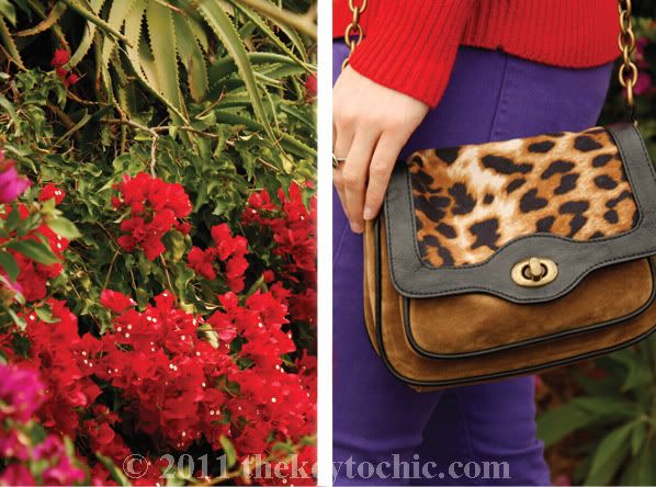 Boohoo leopard print crossbody bag