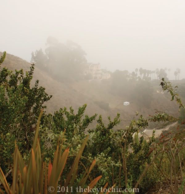 hillside view