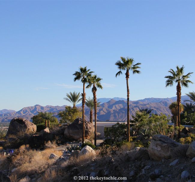 Palm Springs mountain view, palm trees