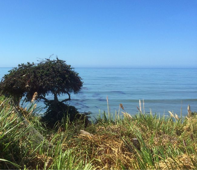 Pacific Ocean