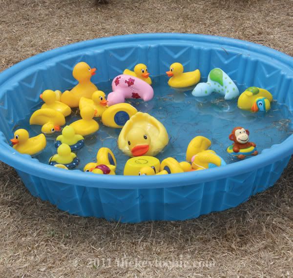 mini pool, rubber ducks, Pooch Parade