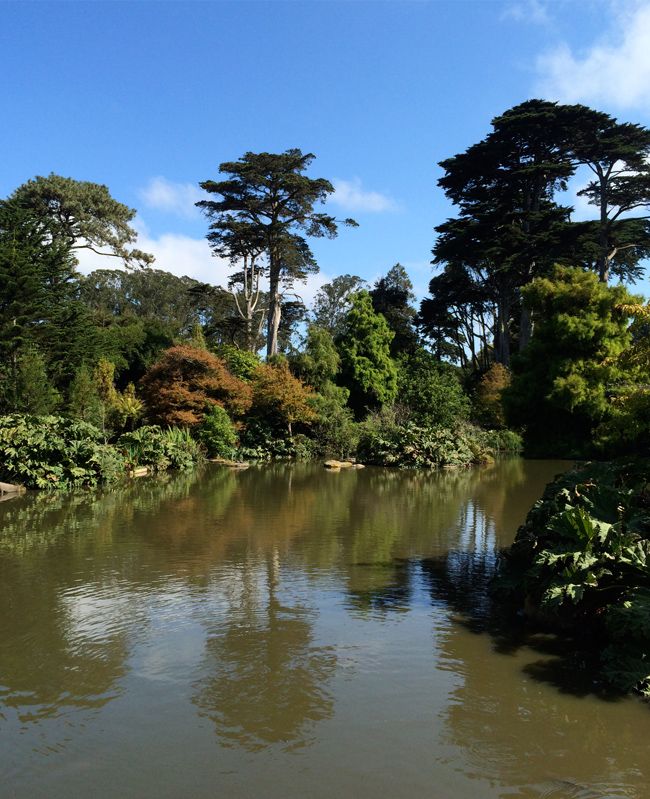 SanFrancisco Botanical Gardens Golden Gate Park