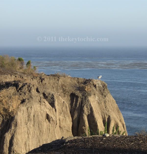 Pismo beach cliffs