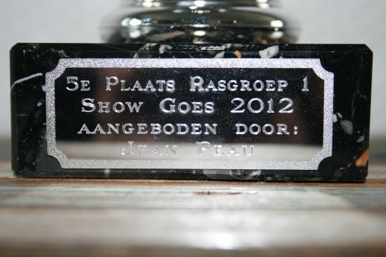 Afbeelding