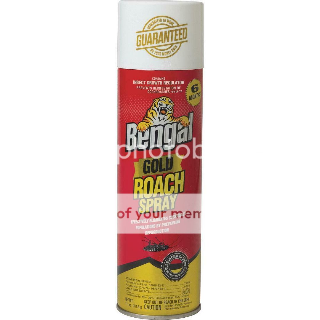bengal roach killer 11oz ant enlarge thumbnails