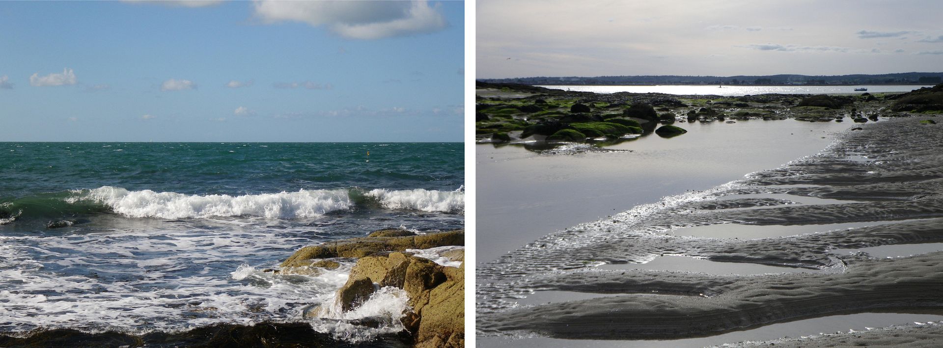 the sea