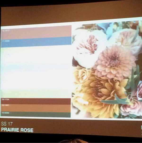 Prairie Rose spring summer 2017 fashion trend color forecast