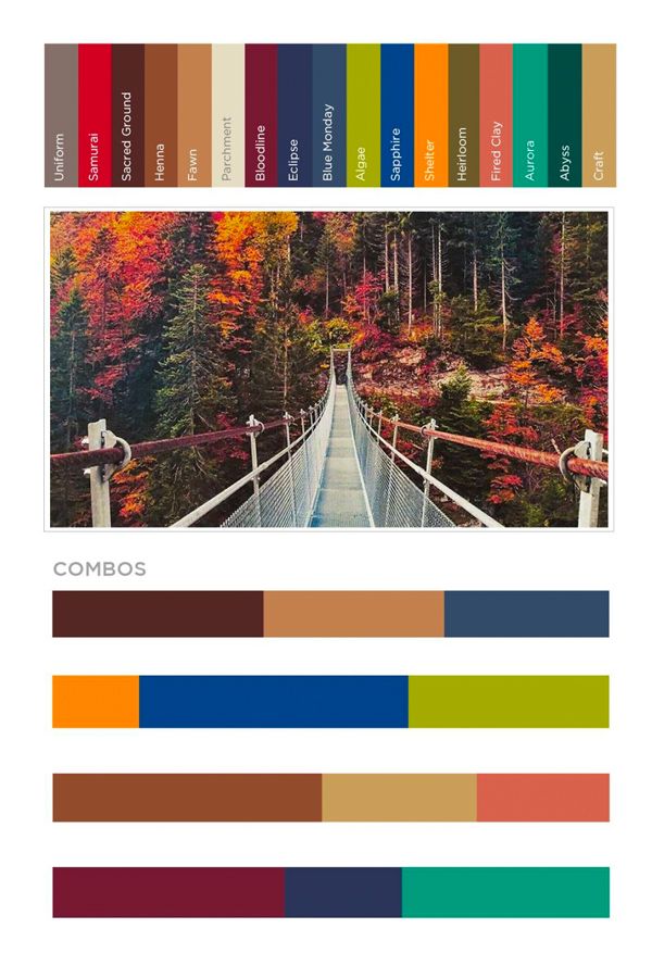 terra color palette