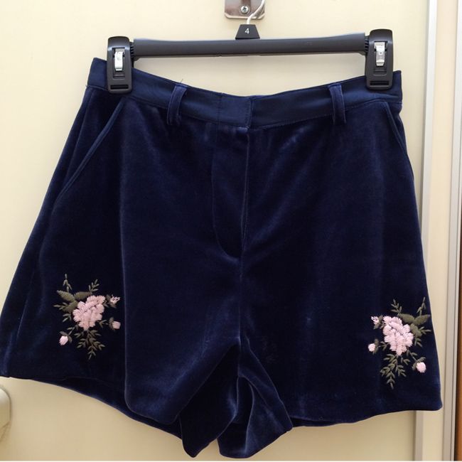 LC Runway Embroidered Velvet Shorts