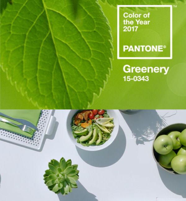 Pantone Greenery 2017 color of the year