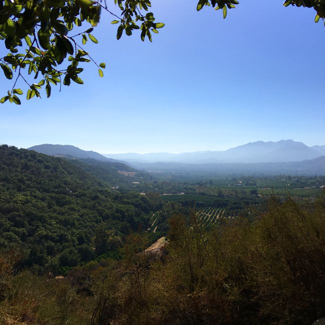 Meditation Mount Ojai Views