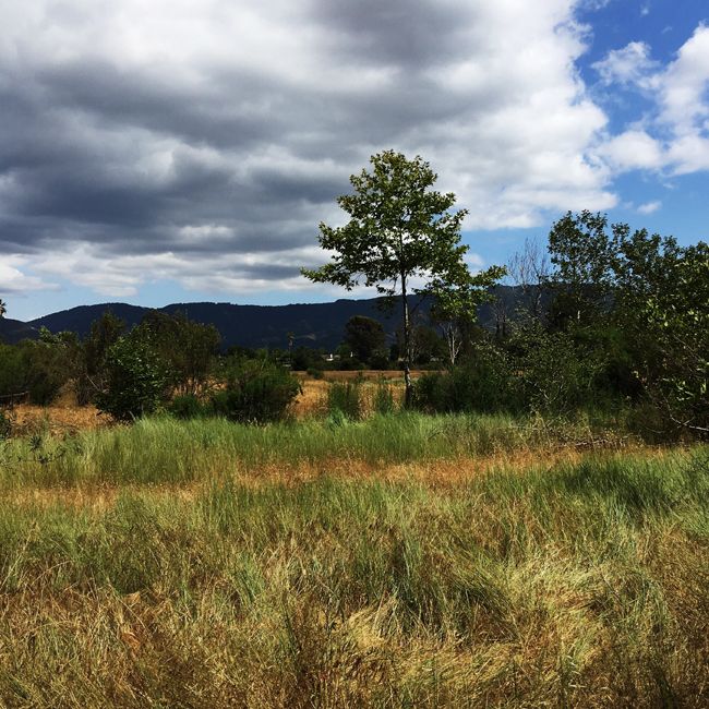 Ojai Meadows Preserve