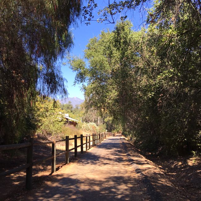 Ojai Valley Trail