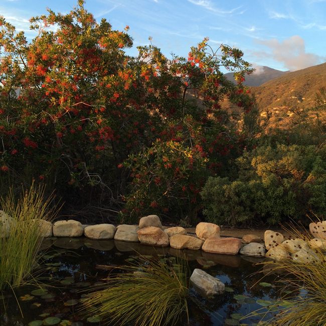 Topatopa Mountains Ojai