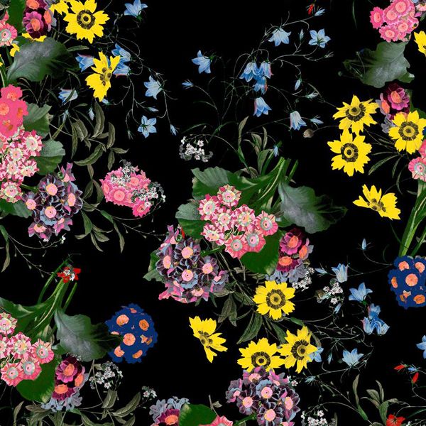 Erdem for H&M floral lookbook print sneak peek